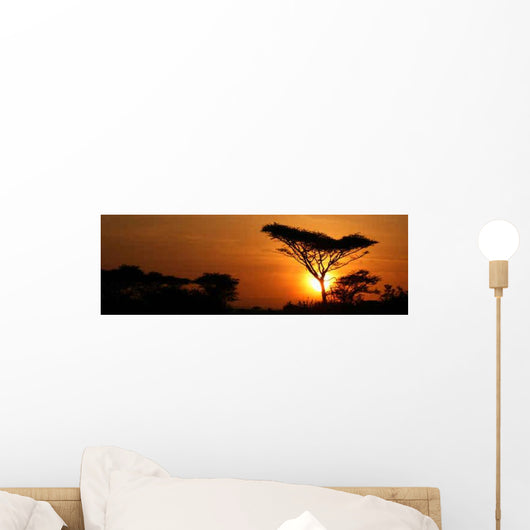 Acacia Tree Sunset Wall Decal