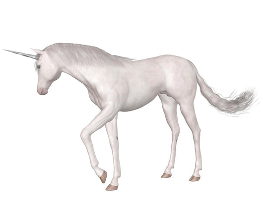 Magical Unicorn - Standing Wall Decal