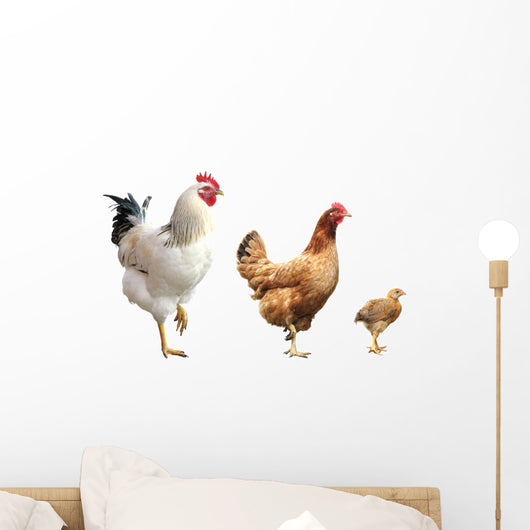 Rooster Hen and Chicken Wall Decal