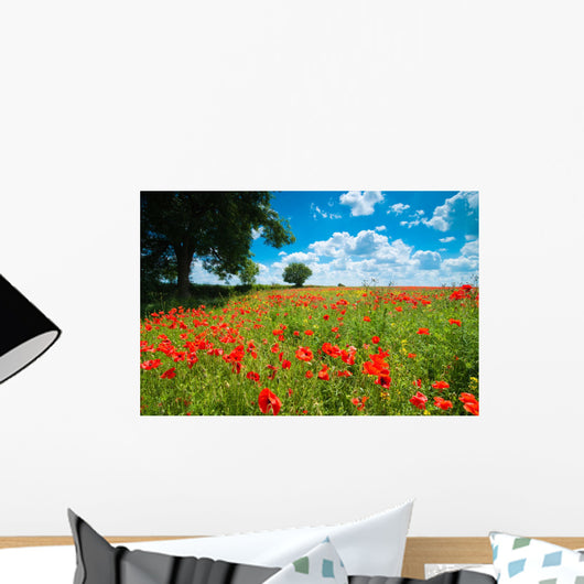 Summer Poppy Field Wall Mural