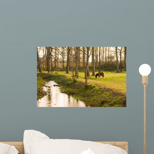 Pony Grazing in Rural Setting Wall Mural