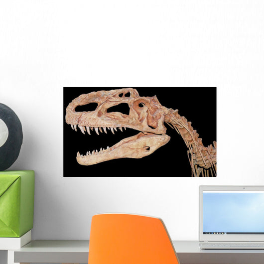 Restaurated Bones Wall Mural