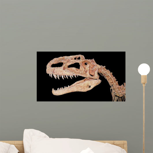 Tyrannosaurus Skull Wall Decal Wall Decal