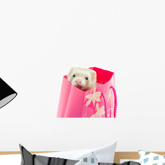 Ferret as a gift Wall Mural