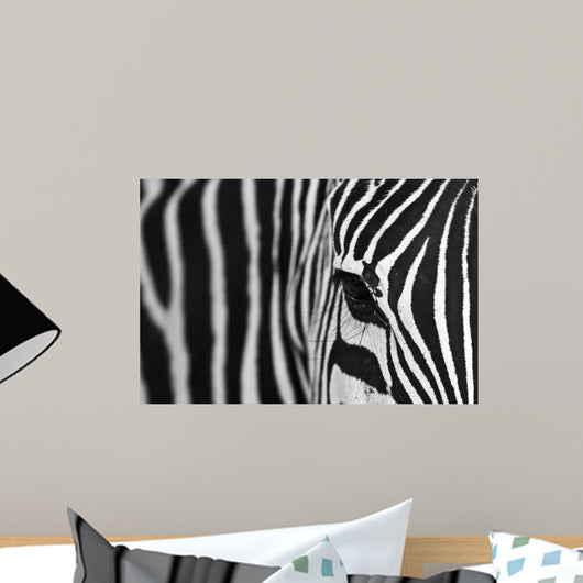zebra is watching you Wall Mural