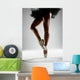 Black tutu Wall Mural