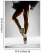 Black tutu Wall Mural