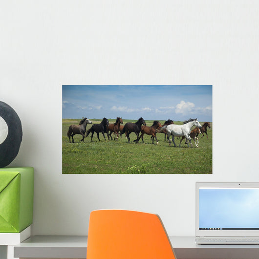 Horses Running / blue sky and green grass Wall Mural