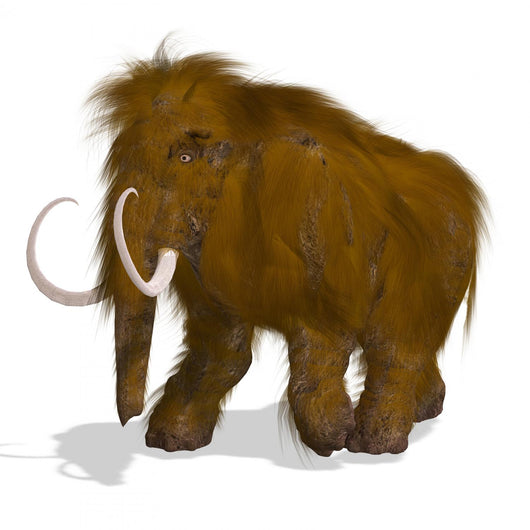 Mammoth Wall Decal