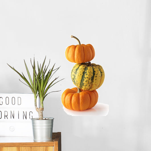 three colorful pumpkins Wall Decal
