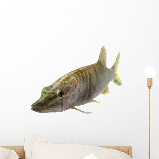 Pike Wall Decal
