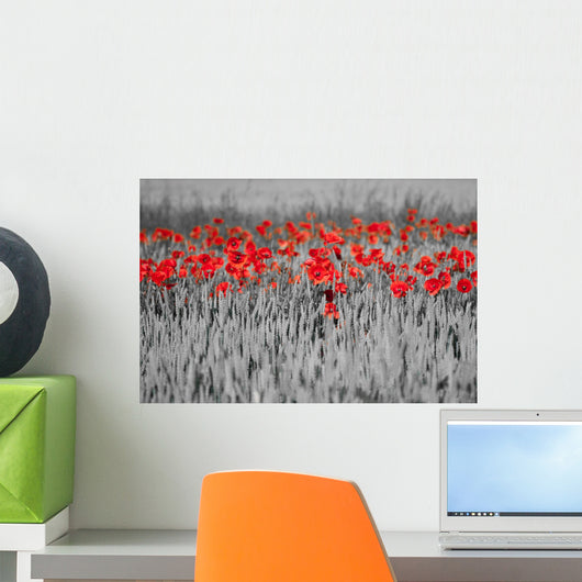 Red Poppies Black White Wall Mural