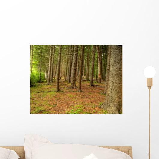Forest Wall Mural