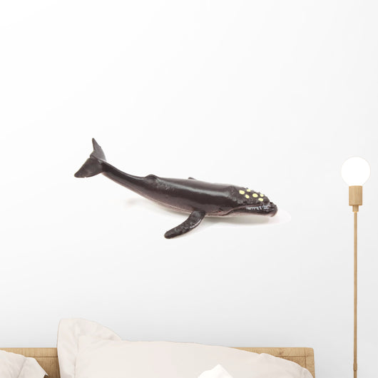 Humpback Whale Wall Decal