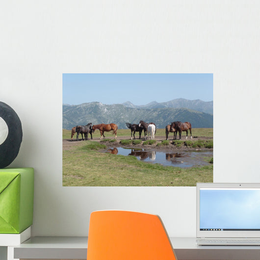 Horses Wall Mural