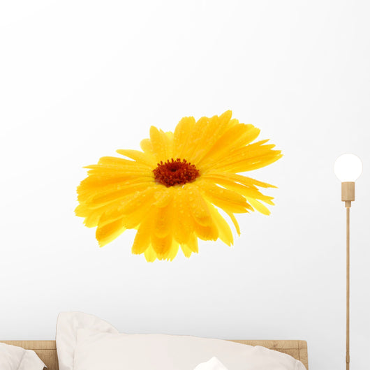 Yellow Flower Wall Mural