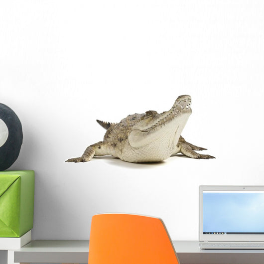 Fresh Water Crocodile Wall Decal