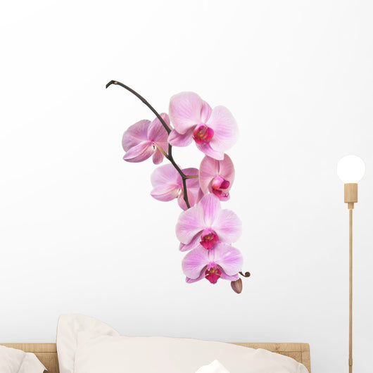 Orchid Wall Decal