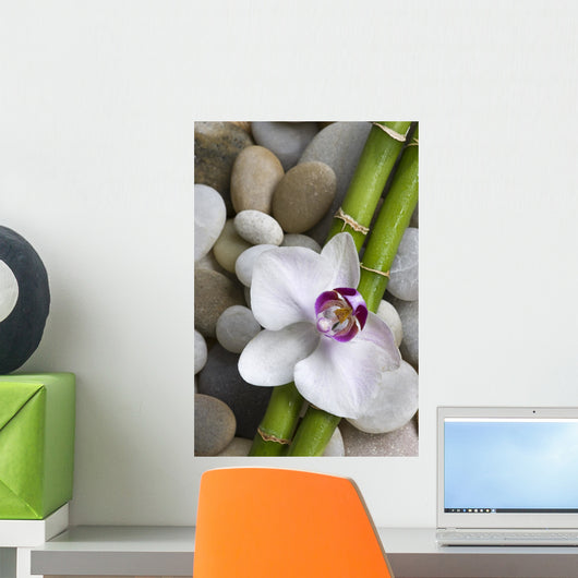 Orchid and bamboo Wall Mural