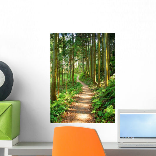 Trail Wall Decal Design 3