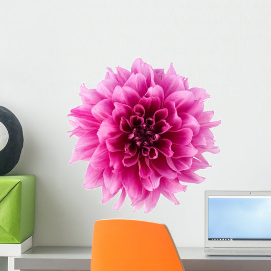 Peony flower Wall Decal