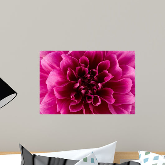 Peony flower Wall Mural