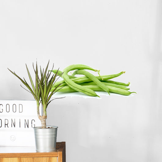 Small pile of green bean pods Wall Decal