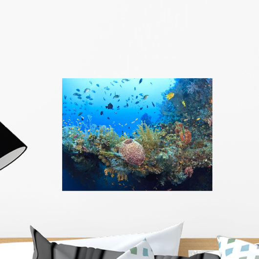 Underwater Wreck of the Liberty Wall Mural