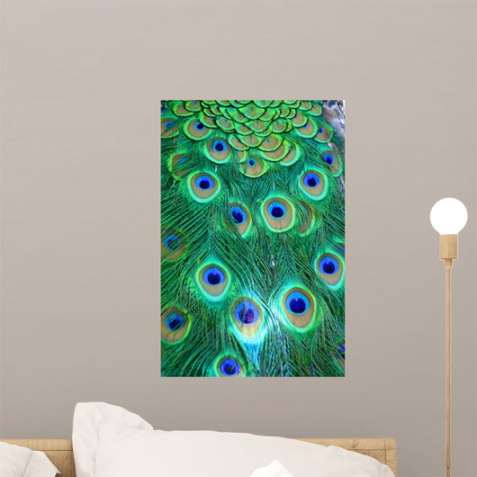 PAVOME Wall Mural