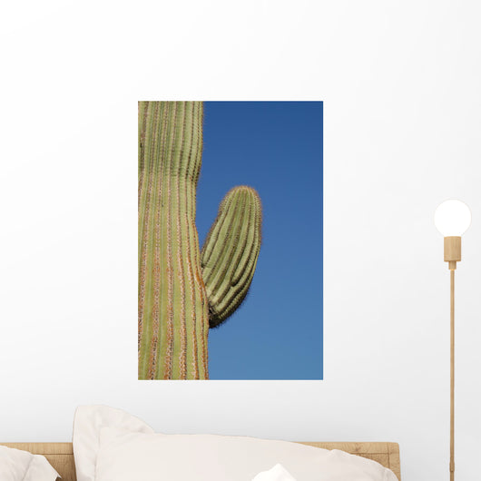 Giant of the Desert Wall Mural