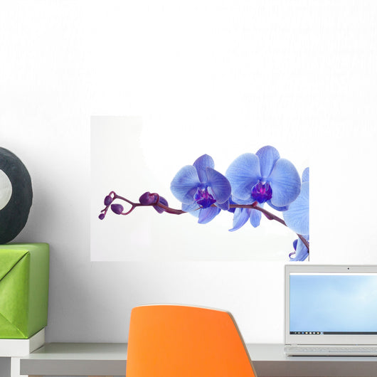Blue Orchid Wall Decal