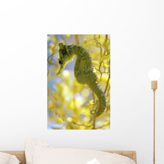 Beautiful Seahorse amongst Weeds Wall Decal