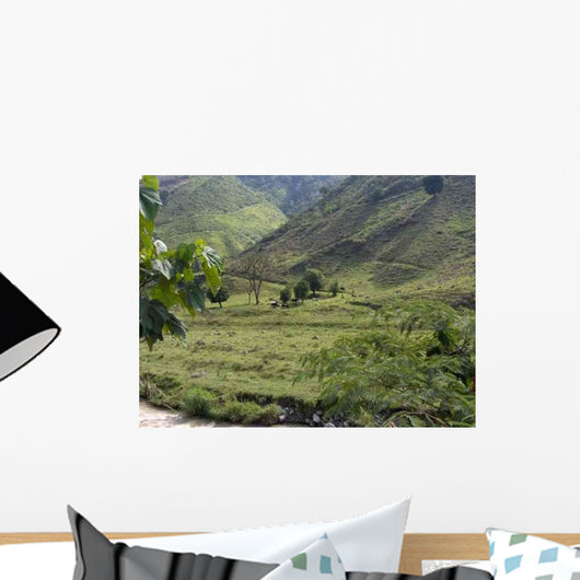 Paysage Salgar Wall Decal
