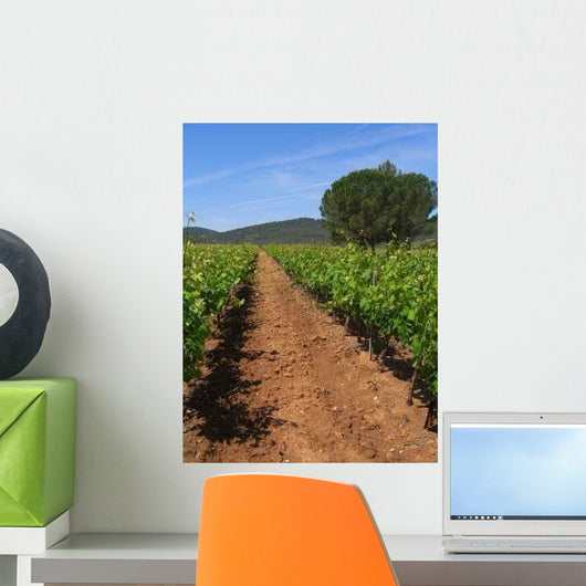 Vine Trellis Wall Decal