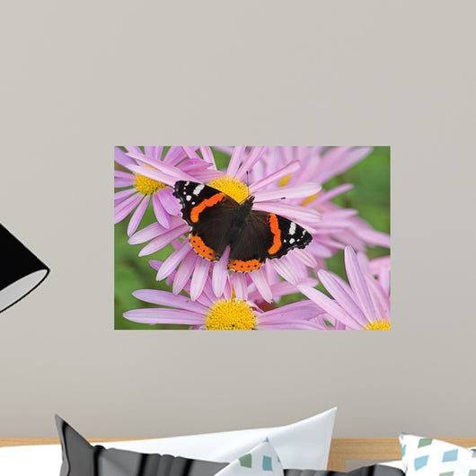 Butterfly Wall Mural