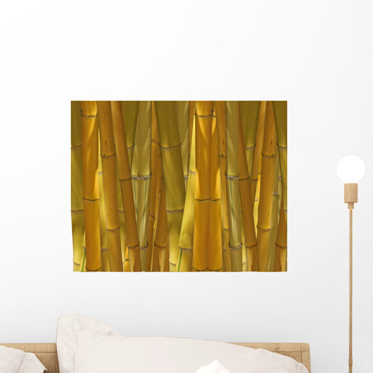 yellow bamboo background Wall Mural