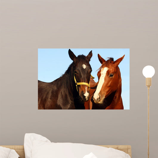two thoroughbreds Wall Mural
