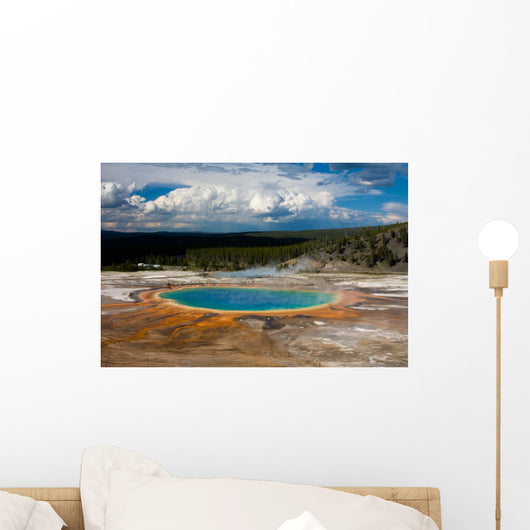 Yellowstone Grand Prismatic Wall Mural