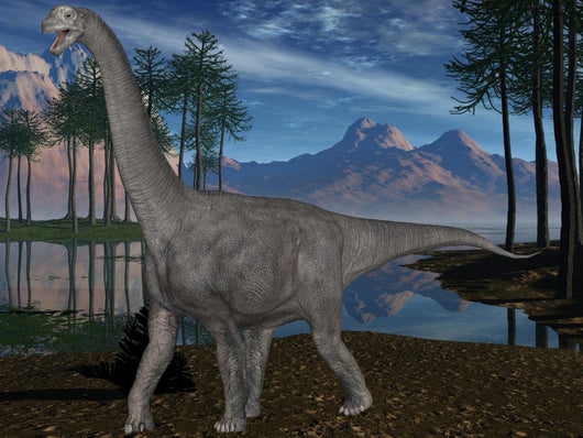 Camarasaurus-3d Dinosaurier Wall Mural