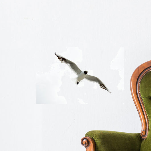Black Headed Seagull Flying in Sky Wall Decal
