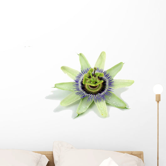 Passion Flower Wall Decal