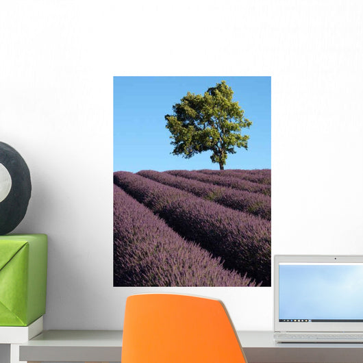 Lavendelfeld Der Provence Wall Decal