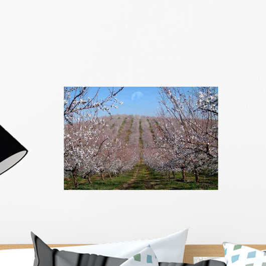 Almond Trees Landscape Wall Decal