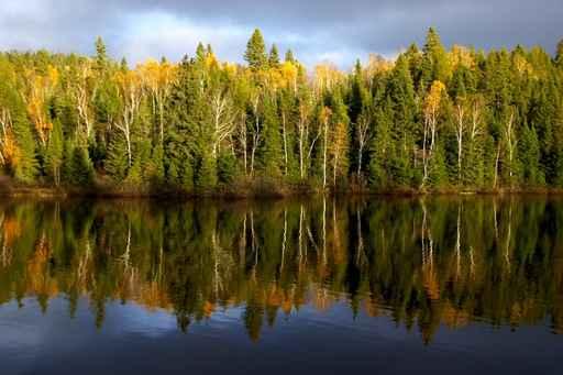 Calm Autumn Wall Decal