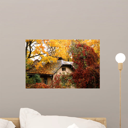 Fall Colours Wall Mural