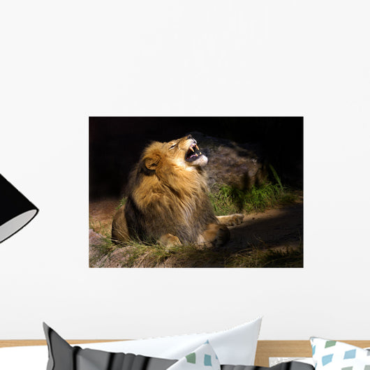 mad lion Wall Mural