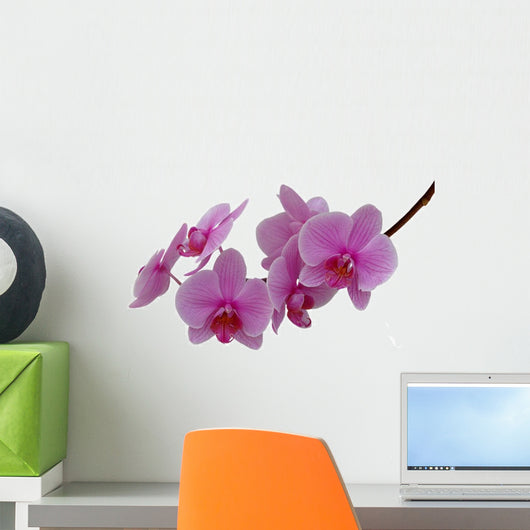 Orchide Wall Decal