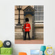 buckingham palace guard Wall Mural