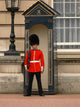 buckingham palace guard Wall Mural
