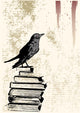 Raven Grunge Background Wall Mural
